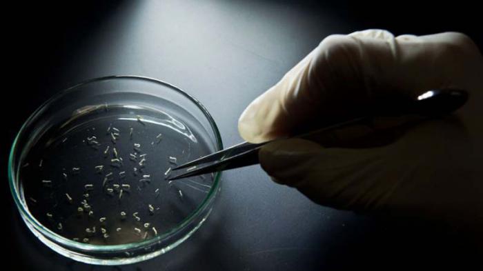 Control higiénico epidemiológico