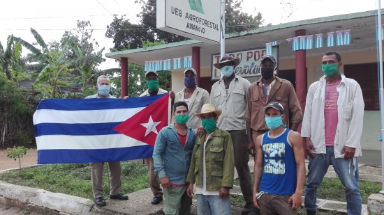 Abanderada brigada de hacheros en la UEB Agraforestal Amancio. Foto: Del Autor