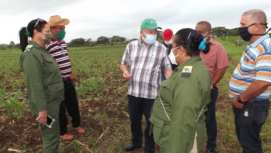 e Luís Tapía Foncesa recomendó el uso de la ciencia y la técnica en aras de mejores rendimientos agrícolas. Foto: Del Autor