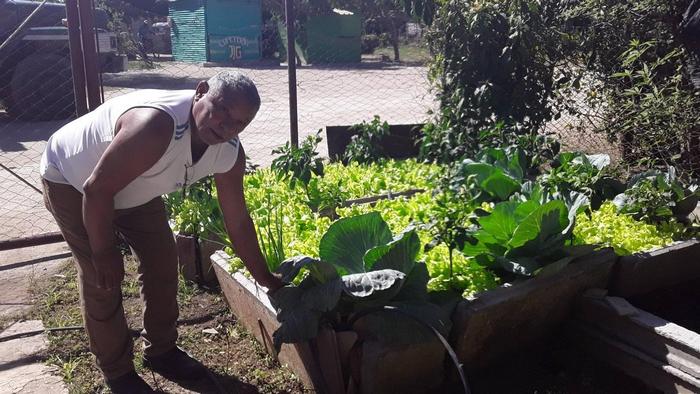 Ángel Elías Jordán en su patio. Foto: Ana Iris Figueredo Torres