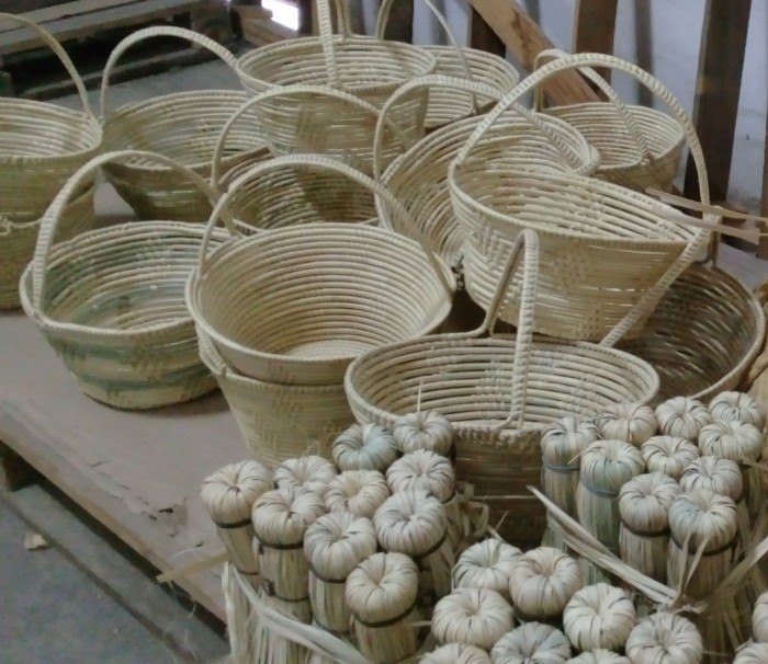 Un colectivo que transpira laboriosidad y compromiso. Foto: Niria Isabel Cardoso Estrada