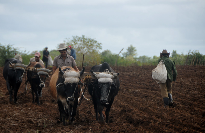 Foto: Reynaldo López Peña