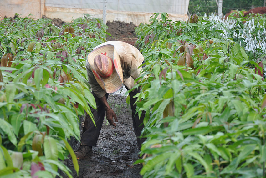 Foto: Reynaldo López Peña.