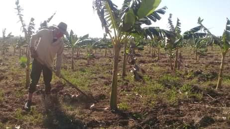 Producción de alimentos