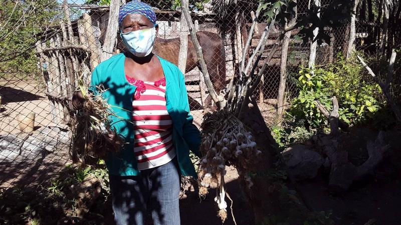 Agricultura urbana. Foto: Ana Iris Figueredo Torres