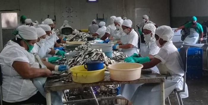 Sala de procesamiento. Pesca Guayabal